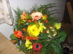 Bild 062