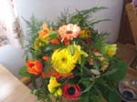 Bild 067
